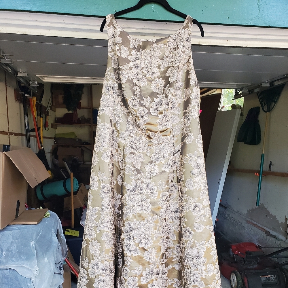 Adrianna Papell Mother of the Bride Gown
